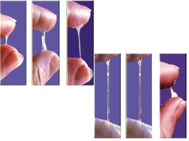 La cohérence de la -ejaculation avant